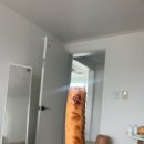 다람이마을 | 블로그 하루만에 관뒀다