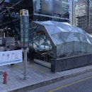 365강남역약국 네이버블로그