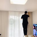신혼집커튼 설치 동대문 장미커텐 내돈내산 설치 후기