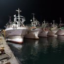 구룡포 대게본가 이미지