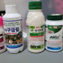 흥해농약종묘사 네이버블로그