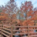 고복자연공원 수변 길 이미지