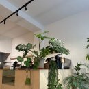 세움디자인 - 창원시 마산회원구 죽암로 23-1 | 세움디자인