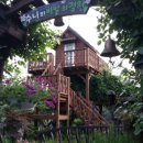 리하우스 이미지