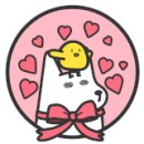 마론애견 이미지