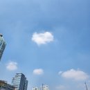 자바씨앤씨 | [취업도전기] SKALA 및 SK AX 신입사원 채용 후기