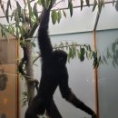 바람모퉁이어린이공원 | [뉴욕 여행 3일차]자연사 박물관, 하이라인, 엠파이어 스테이트 빌딩