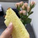 대선당 티스토리