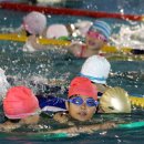 서울덕수초교 수영장 이미지