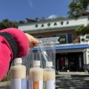 국도 | 가평 막걸리 국도양조장 생막걸리 3종 후기