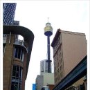 NSW-시드니 타워 Sydney Tower 이미지