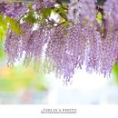 대구죽전초등학교 이미지