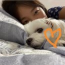 모두의건강 이미지