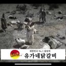 열혈 닭갈비