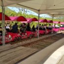 라고스테마 이미지