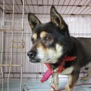 하신중앙로 이미지