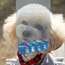 양수하나로약국 이미지