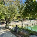 머물다삼포 이미지