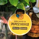 이노헤어샵