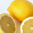 지웰MTA태권도 이미지