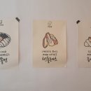 카츠D9(디나인) 이미지