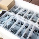 늘푸른염소농장 | 흑염소엑기스 보성 늘푸른흑염소농장 후기