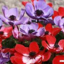 동평한의원 이미지