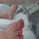 레푸스앤두두뷰티 이미지