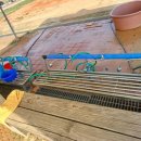 영산강둔치체육공원 이미지