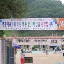 예미초등학교 Daum카페