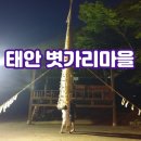 태안방주염전갯벌체험장 | [체험] 태안 볏가리마을 (feat. 충남역사문화연구원)