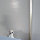 컴퓨터활용능력 2급(실기) 이미지