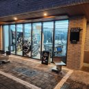 너구리 유격대 이미지