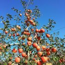 만송농장 이미지