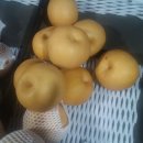 원천농장 이미지