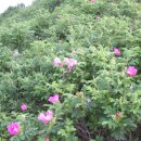 뜰앞바다 이미지