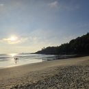 소나무주유소 | 전남 신안 백길해변 10월 해질녘 노을 가을 끝자락에 만난 황금빛 기적(신안 숨은 명소)