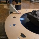 국립중앙과학관 | 대전 아이와 실내가볼만한곳 국립중앙과학관자연사관 후기