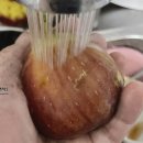 영오농장 이미지