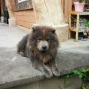 구만산펜션 이미지