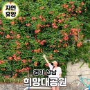 제1공단근린공원공영주차장 | 경기도 능소화 명소 7월 가볼만한곳 성남 희망대공원