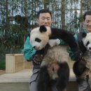 (주)에이컴즈 스포츠서울