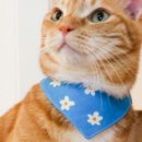 블루밍 그루밍 이미지