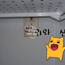 대영전기조명 이미지