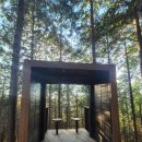 하동편백나무민박 | 하동편백자연휴양림 1박 힐링여행