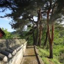 안동김씨 사충문 이미지