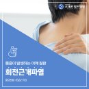 송파나루 정형외과에서 알려드리는 회전근개파열 원인과 증상 이미지