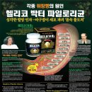 HELCOZERO Mastic gum 제품안내 이미지