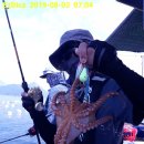 문어민박 이미지