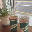 브린(Breen) 이미지